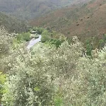 Gospodarstwo wiejskie Quinta Da Recochina