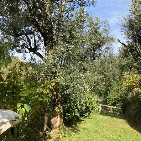 Hétvégi ház Quinta Da Recochina Castro Daire