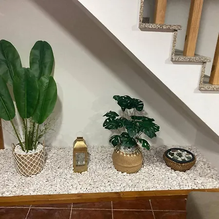 Quinta Da Recochina Castro Daire