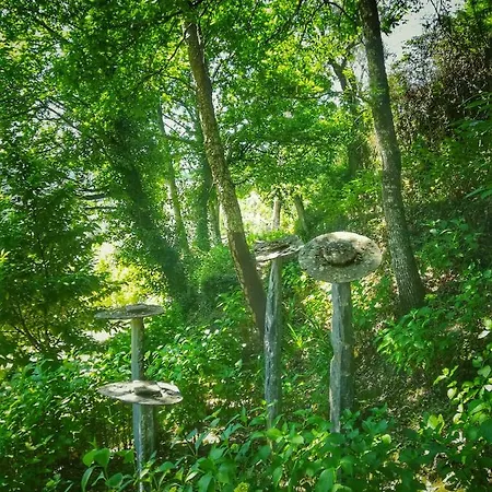 Country house Quinta Da Recochina Castro Daire