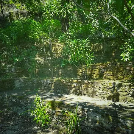 Hétvégi ház Quinta Da Recochina