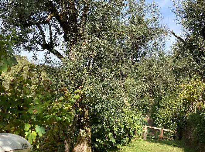 Casa de Campo Quinta Da Recochina Castro Daire