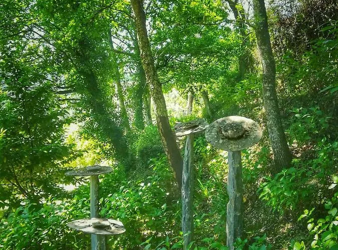 Casa de Campo Quinta Da Recochina Castro Daire